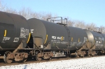 PRGX 10547