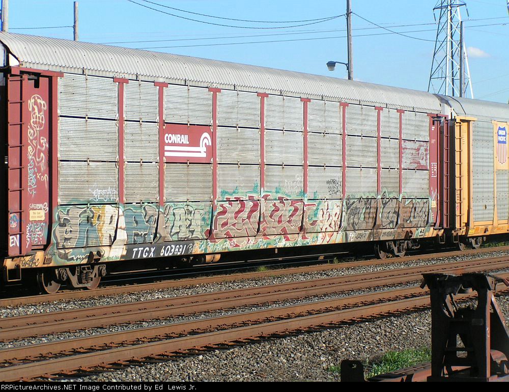 TTGX 603831