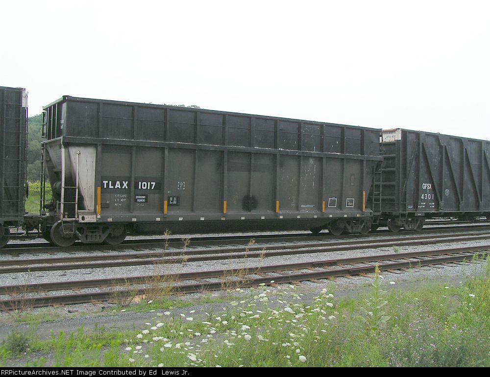 TLAX 1017