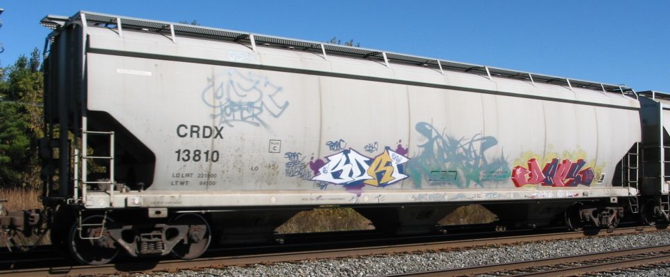 CRDX 13810
