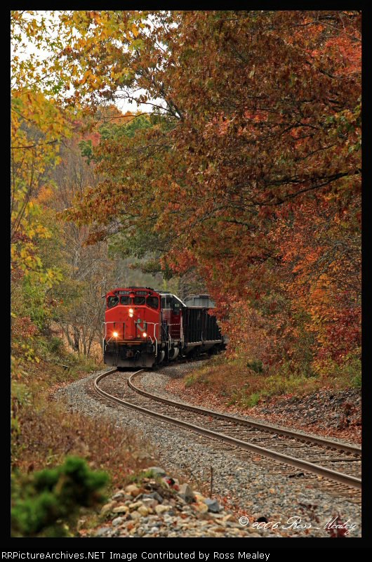 Fall Foliage on the NECR