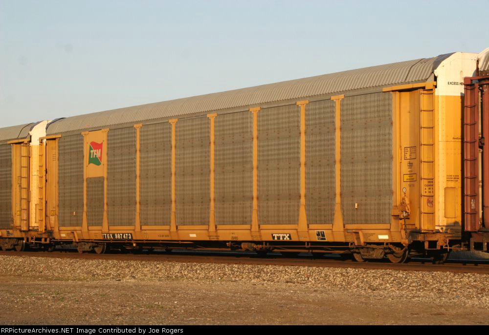 TTGX 987473