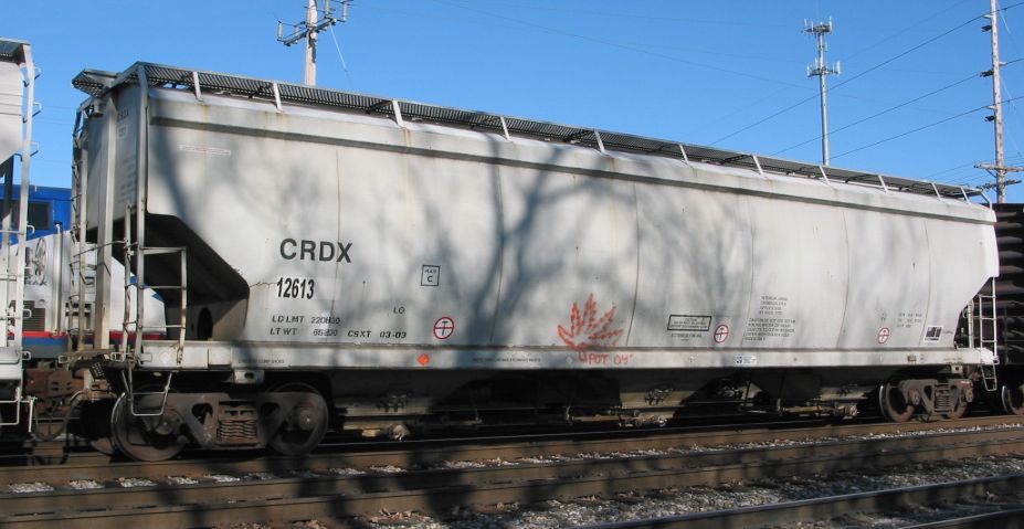 CRDX 12613