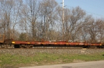 CP 520576