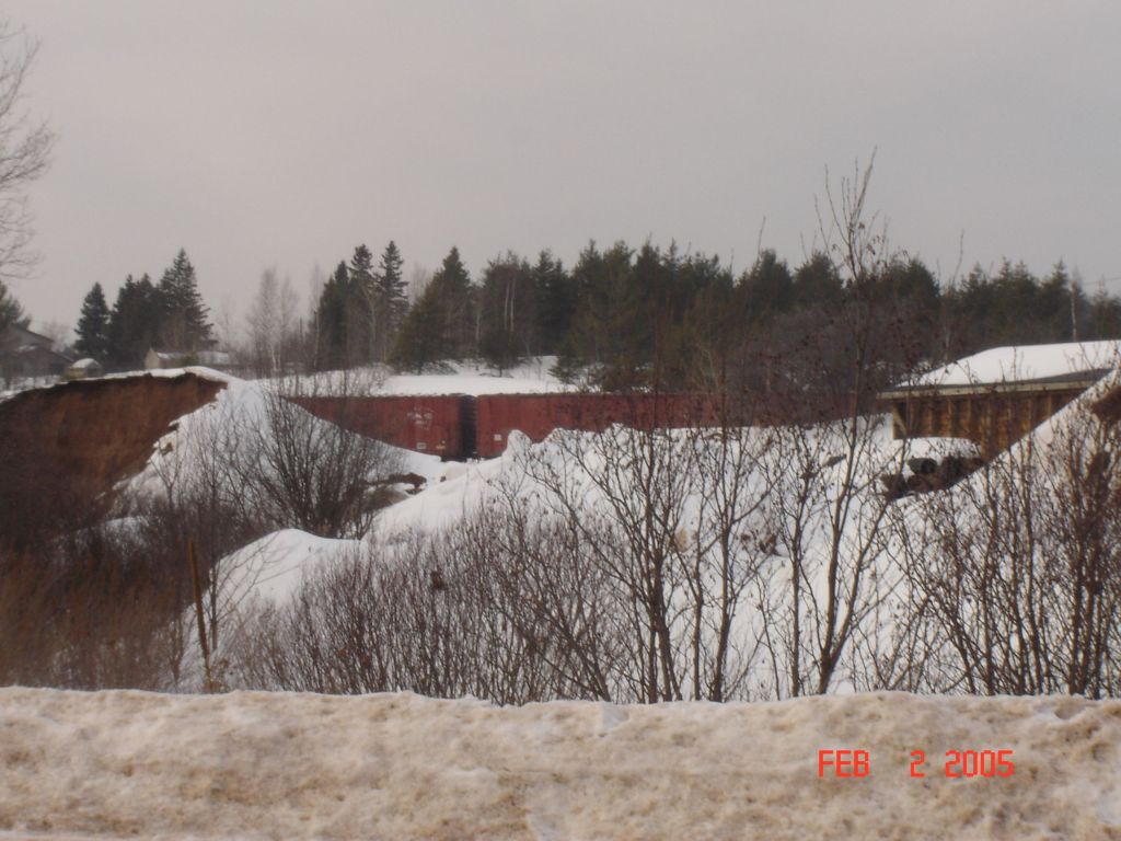 BOX CARS IN THE YARD
