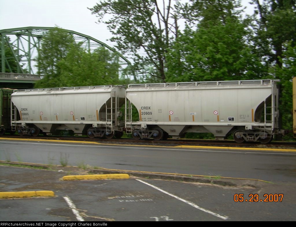 CRDX 20855 and 20909