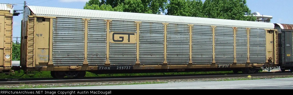 TTGX 255737