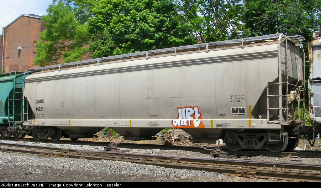 CRDX 14281