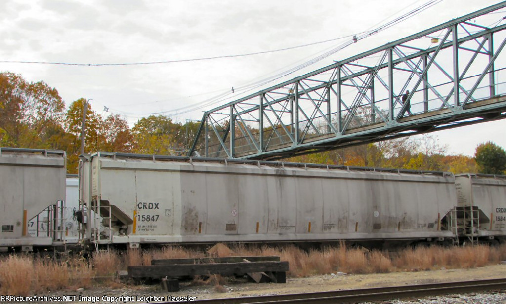 CRDX 15847