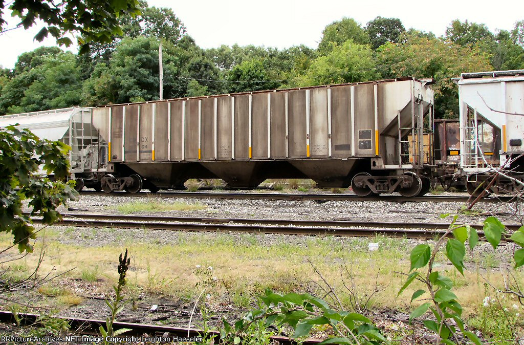 CRDX 8704