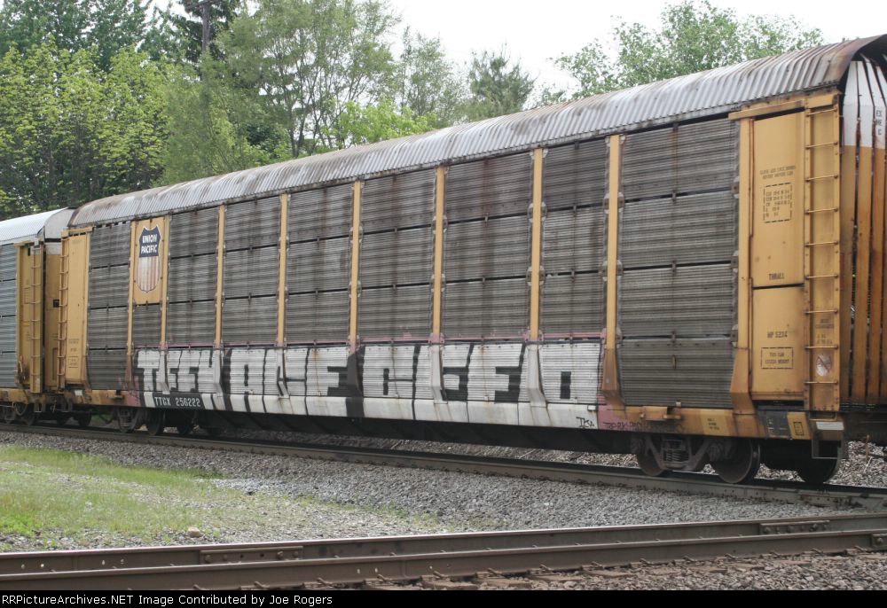 TTGX 256222