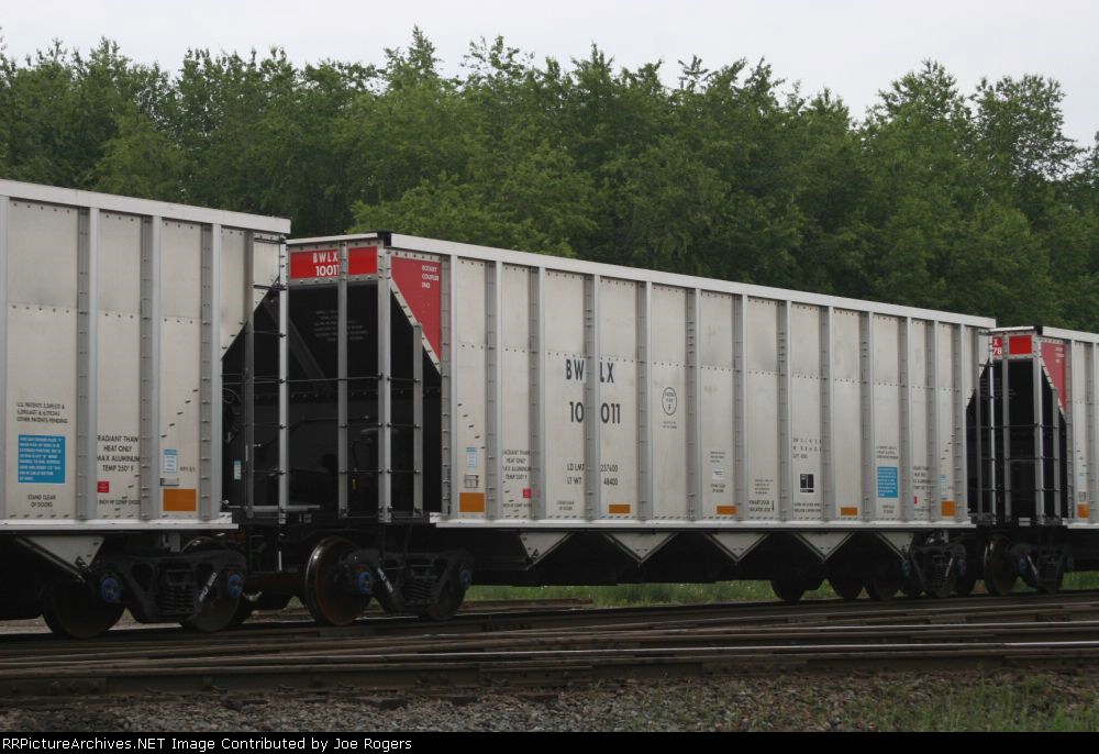 BWLX 10011