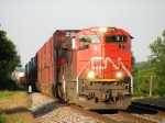 CN 8019