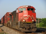 CN 8019