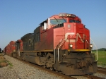 CN 8019