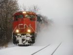 CN 8012