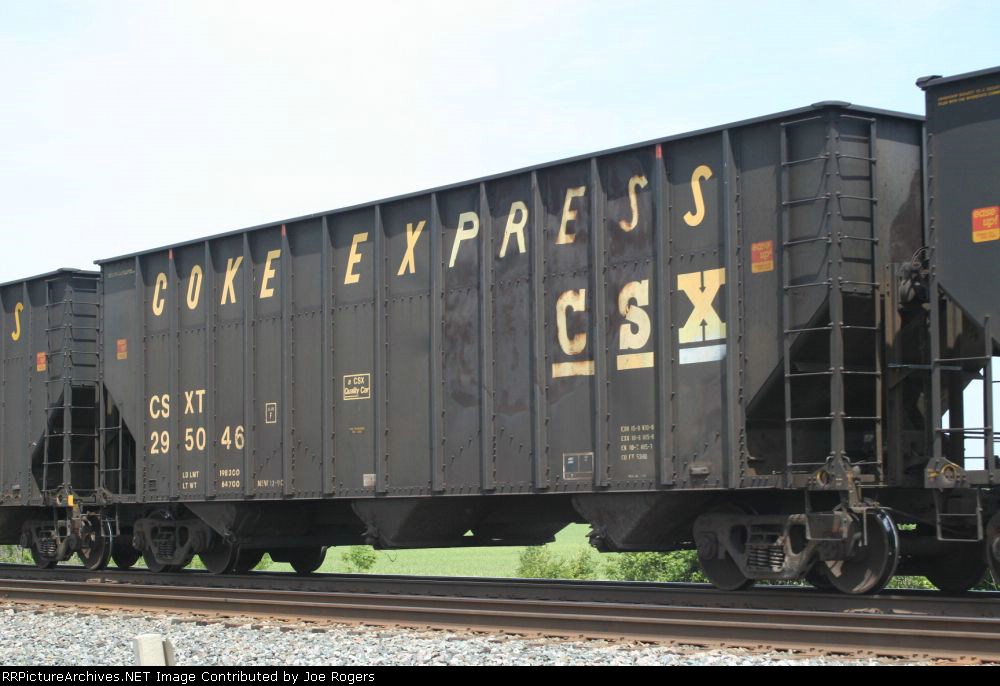CSX 295046