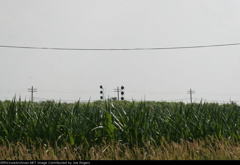 Centralized Corn Traffic Control