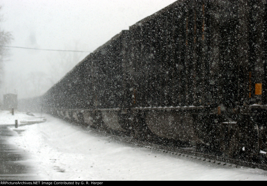 791 - Black gons in white snow.  T22721 Super ID