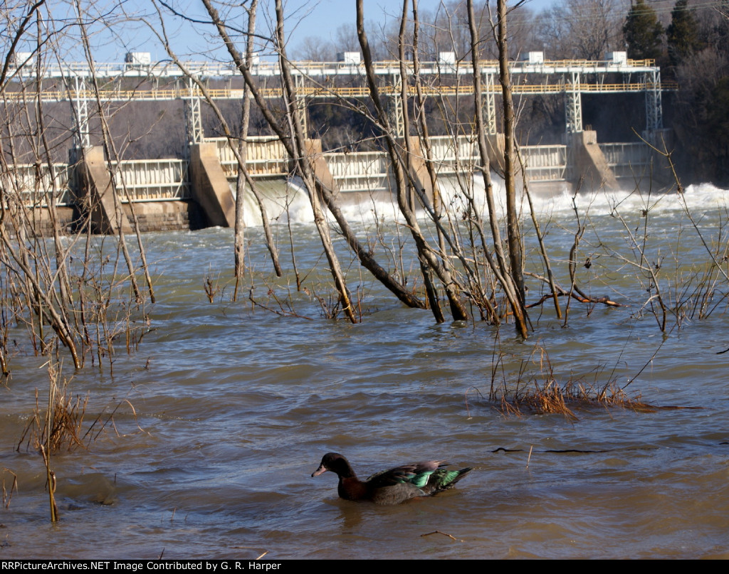 this has nothing to do with trains, but a little diversion now and then is ok.