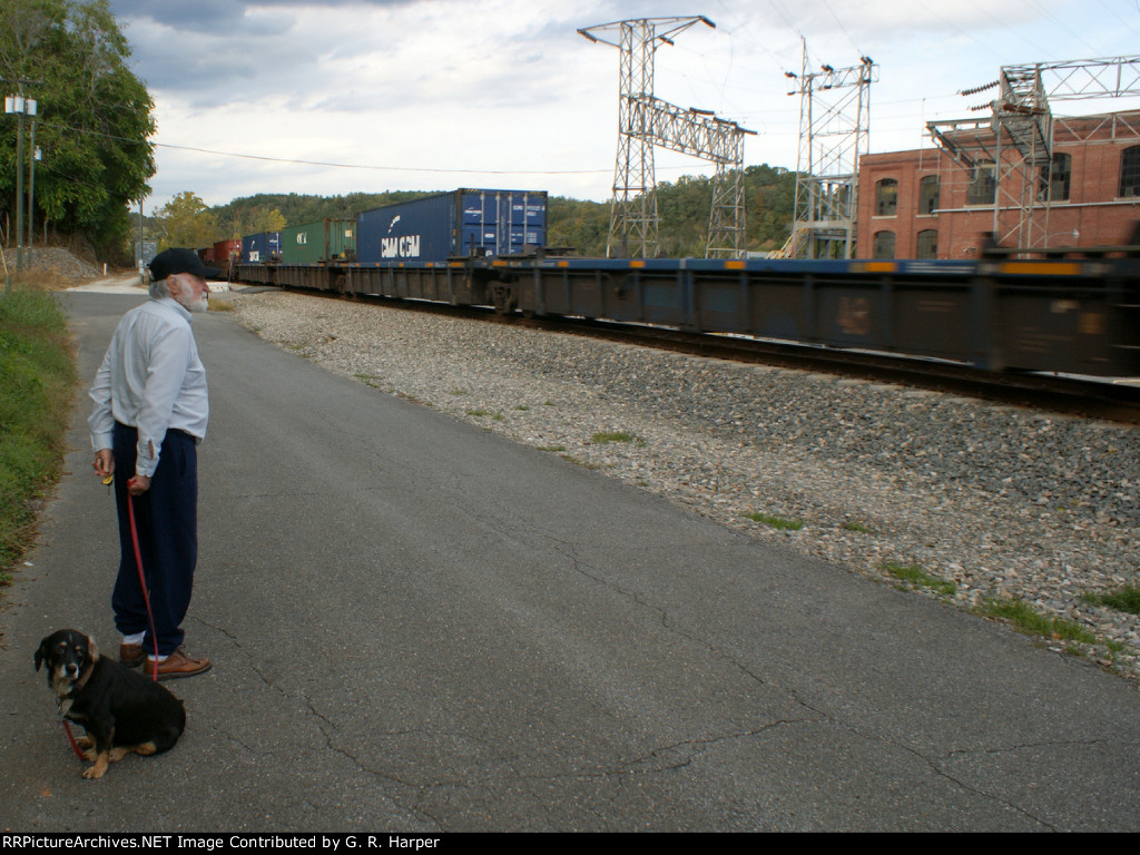 Man and beast watch Q13605 sail along Hydro St.