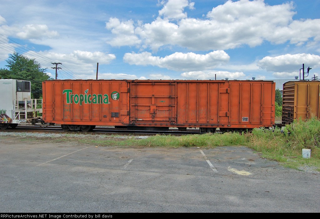 tropicana girl reefer...