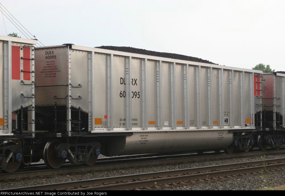 DLRX 60095
