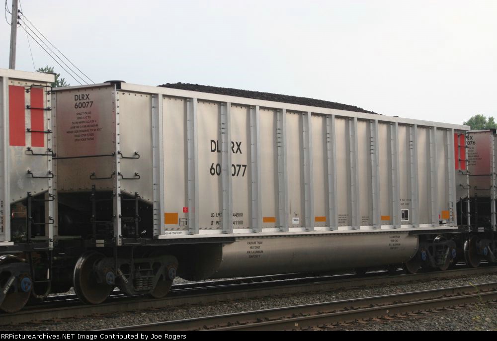 DLRX 60077