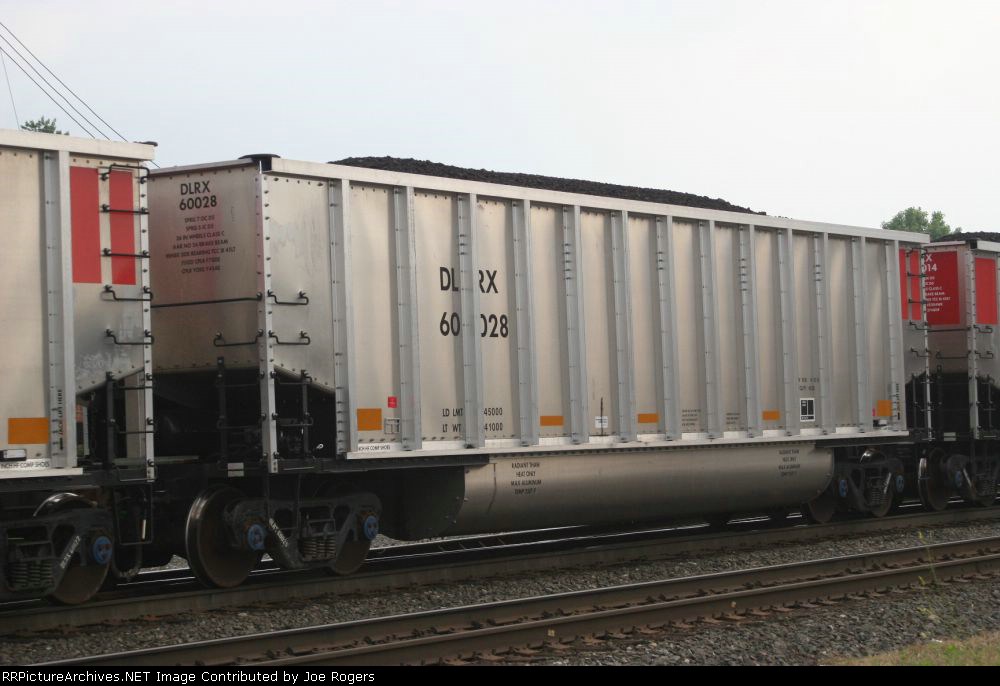 DLRX 60028