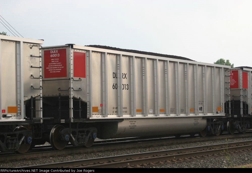DLRX 60013