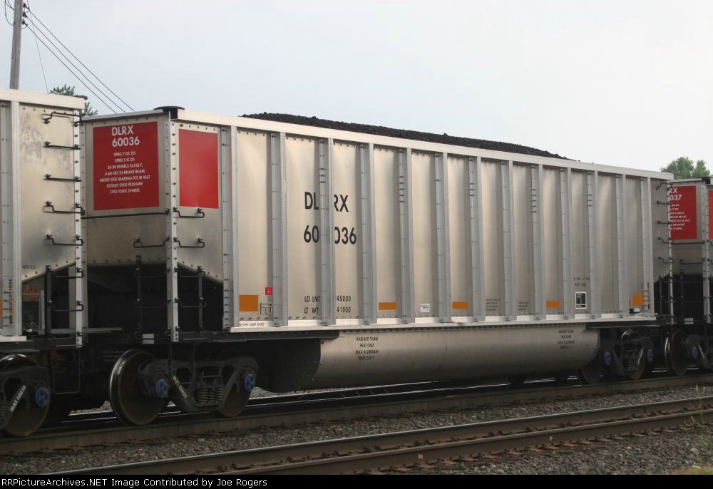 DLRX 60036
