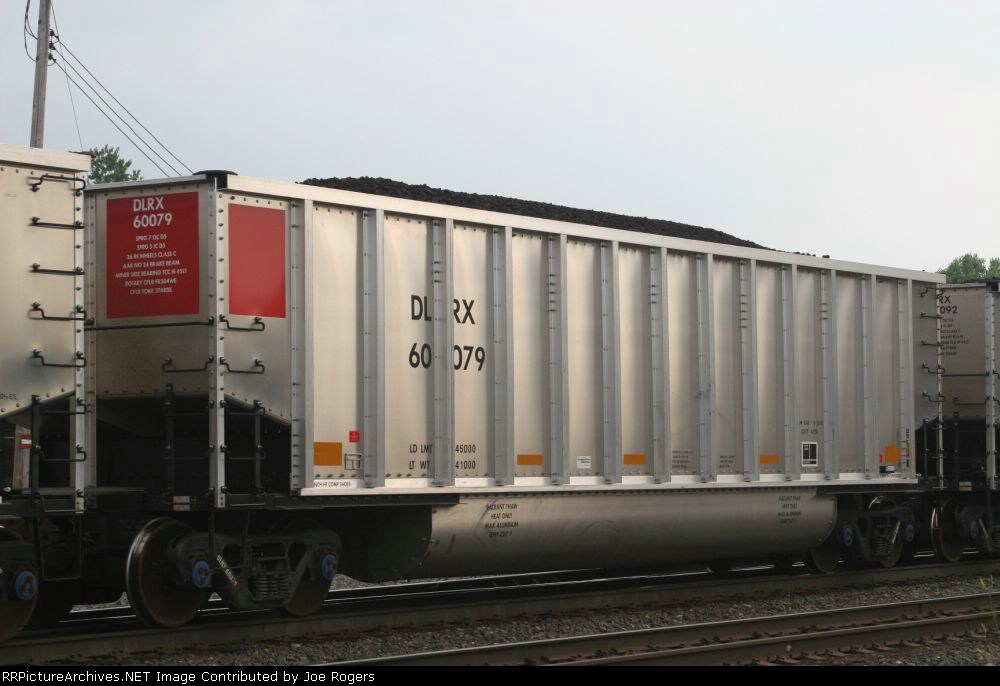 DLRX 60079