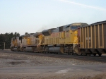 UP 8160