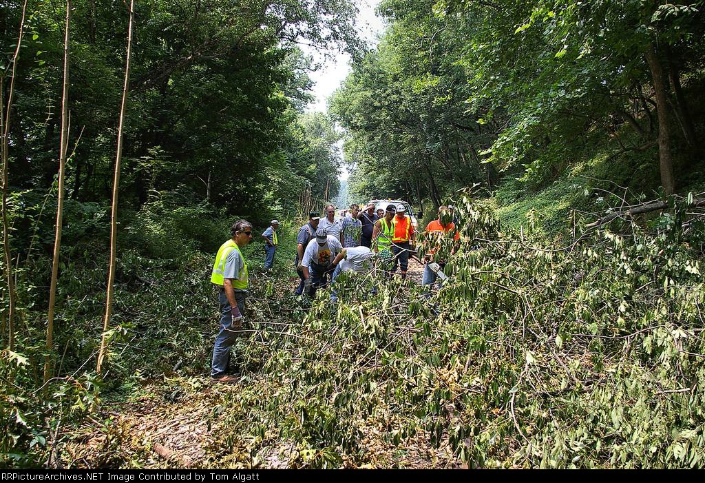 Downed trees block our path