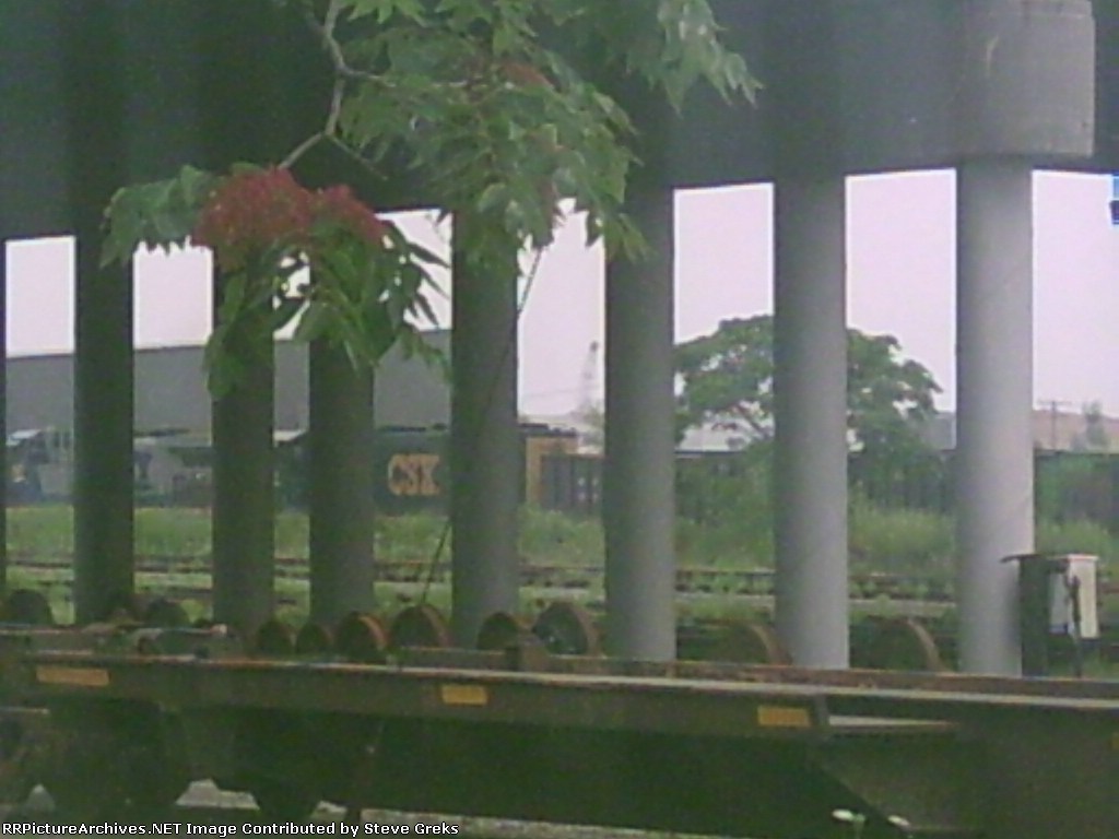 CSX train going North