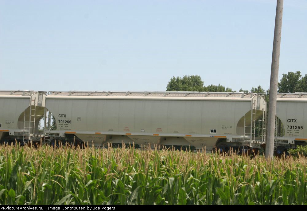 CITX 701266