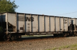 NS 25528