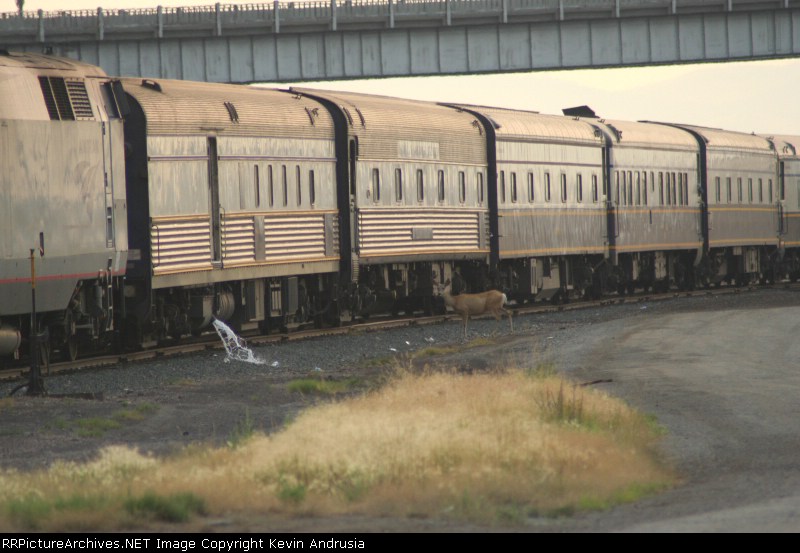 What Fare Do I Qualify For?