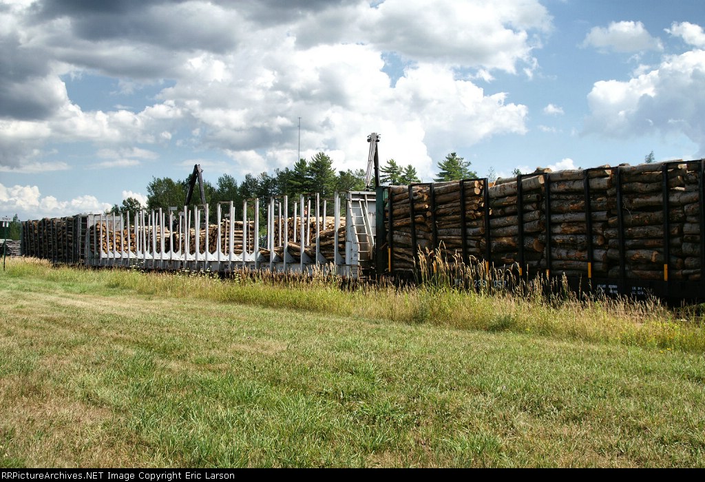 Seney Log loading siding.