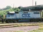 YN1