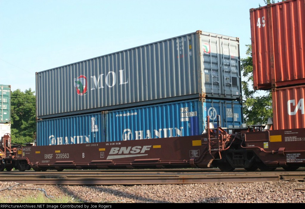BNSF 239563