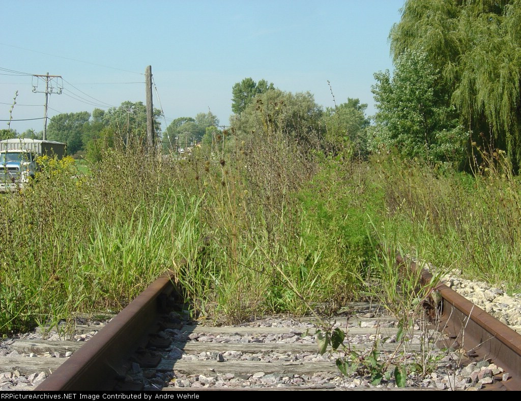 Grass growing on the old C&NW