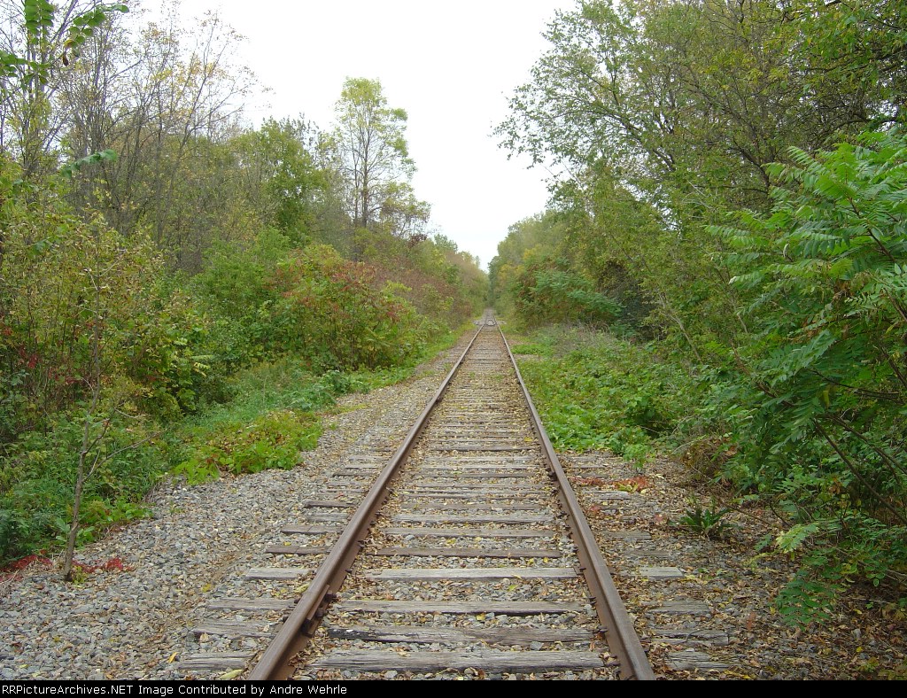 West of Duck Creek looking back east
