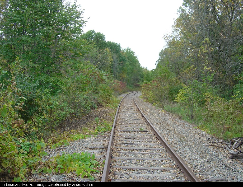 Curve W of Duck Creek looking west
