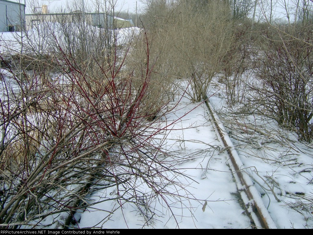Looking west from Springdale Road