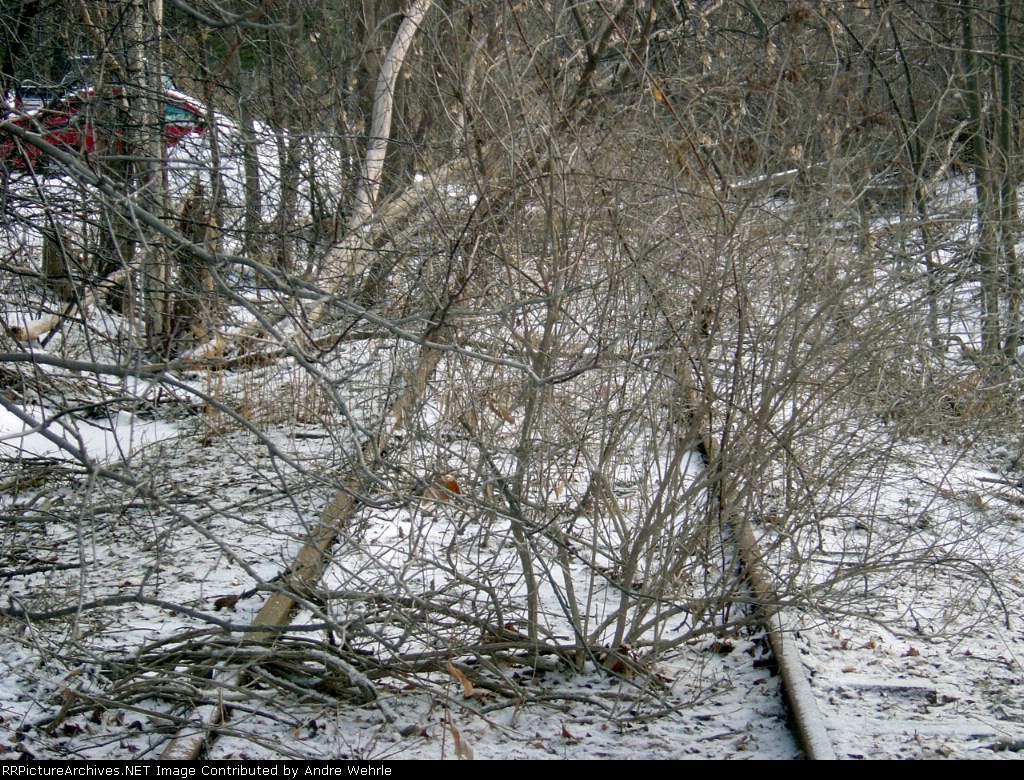 Anyone got a machete?