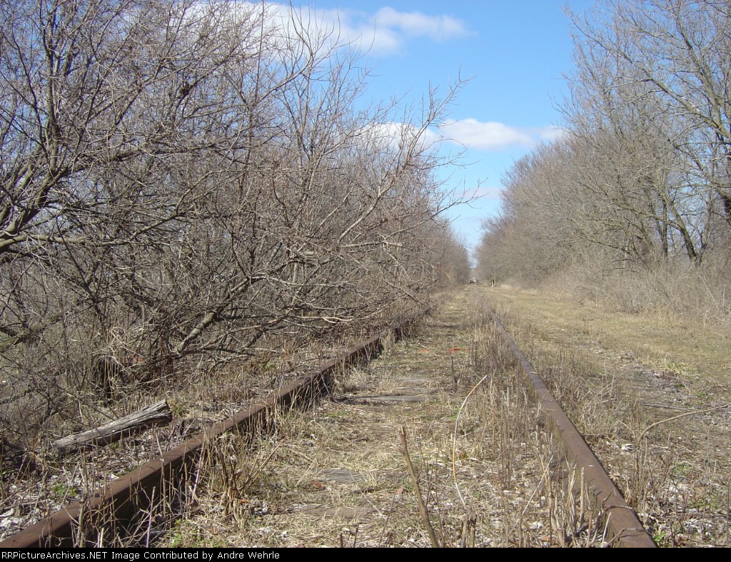 A little more overgrowth here