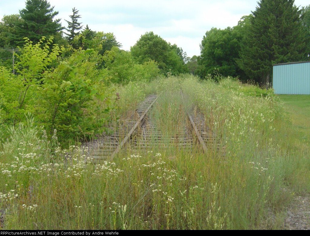 Looking north from County Highway T