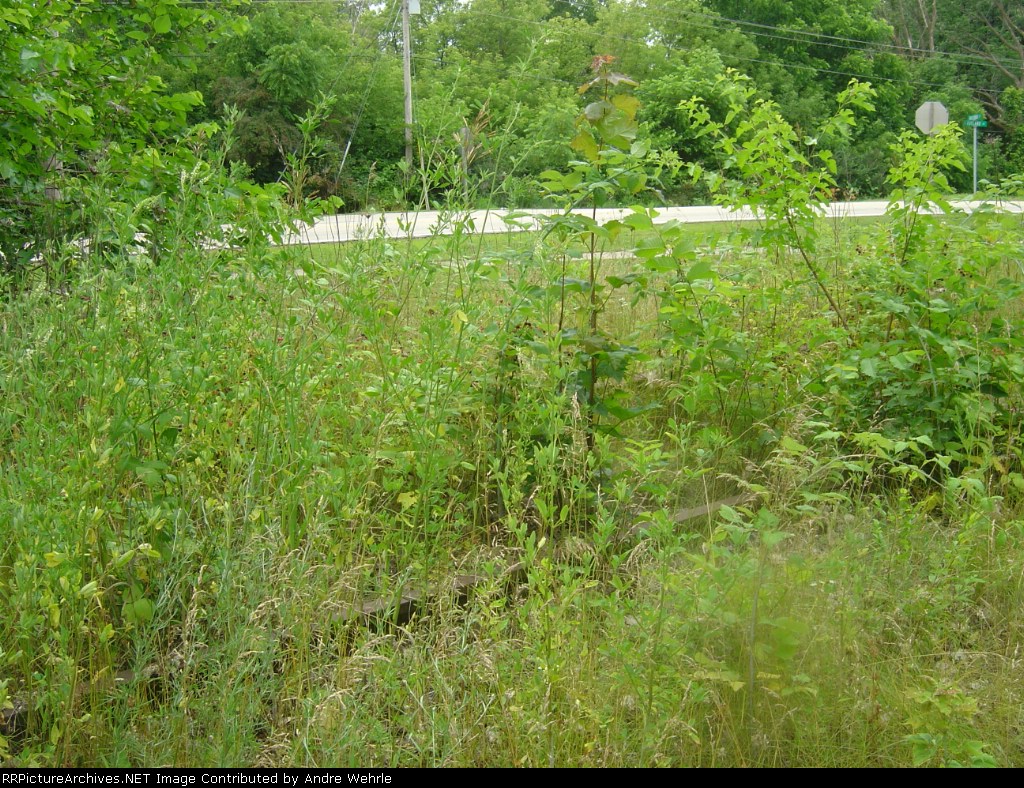 Overgrown rail