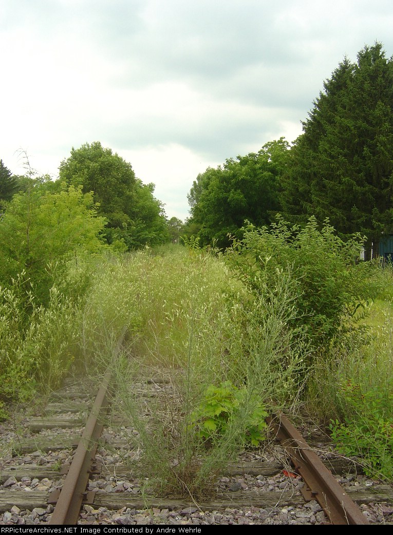 A little mowing will take care of that